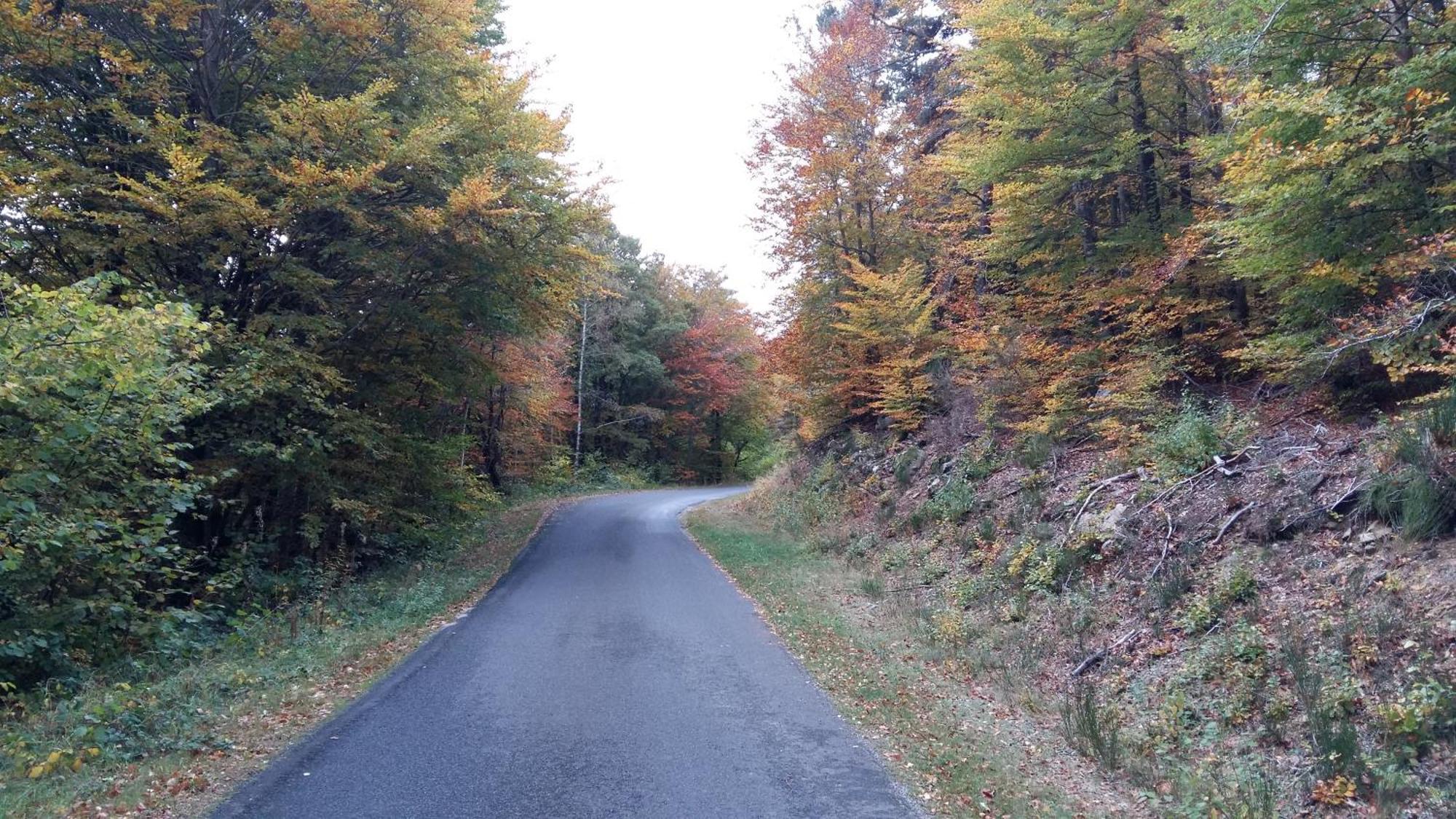 Gite Les Ducs Mialanes Buitenkant foto